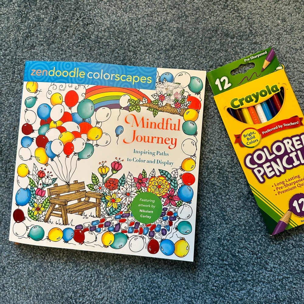 Audit coloring book and colored pencils. NWT.